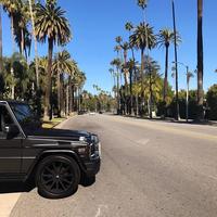 Отзыв от Тимур - DTV виза